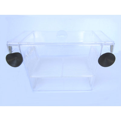 Nouveaux couvoirs de poisson