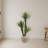 Yucca Artificial Tree in Sandstone Planter-501122167