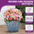 Bohemian Large Round Planters, 12.25" Decorative Pot Planters, Flower Pots Indoor Outdoor
