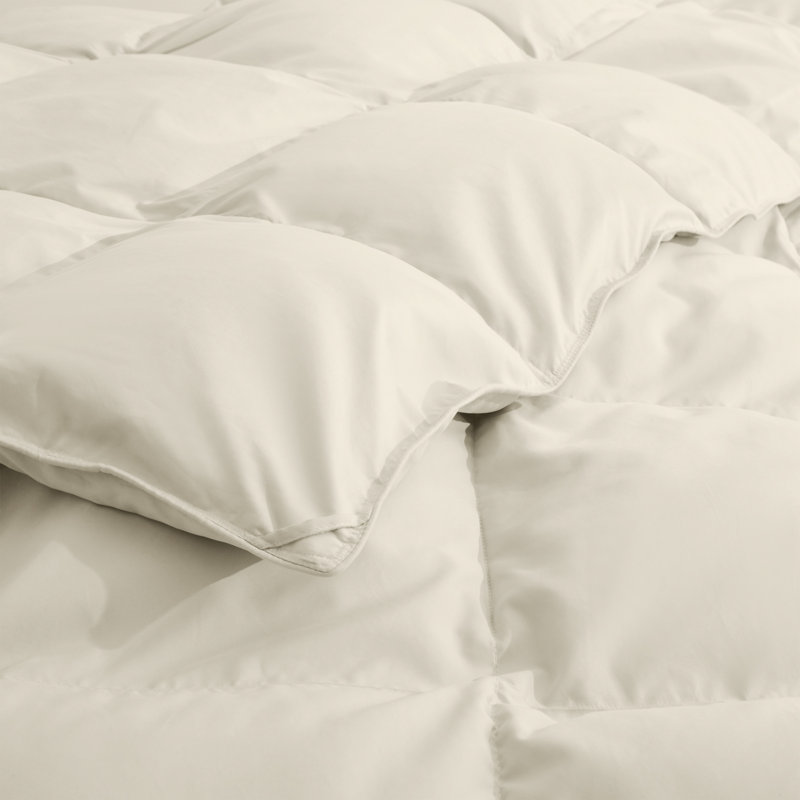 All Season Goose Feather Fiber Comforter, Twin, Cream