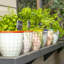 Nicola Spring Hand-Printed Plant Pots - 14cm - Turquoise - Pack of 6-50928599