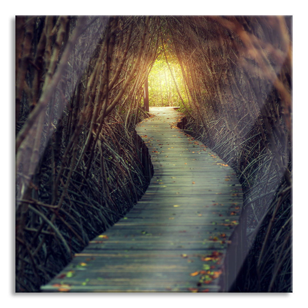 Glasbild Gehweg im Wald