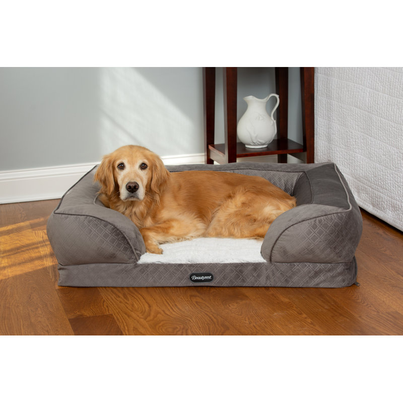 Lit pour animaux Supreme Comfort Couch, Grand (l 39 po x P 29 po x H 10 po), Gris
