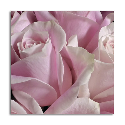 " Pastel Pink Rose Bouquet " by Monika Burkhart