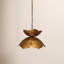 Luminaire suspendu 1 lumière Lotus-31274423
