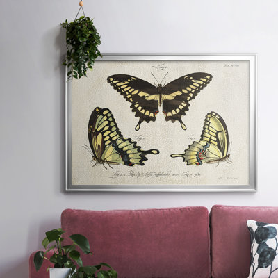 «Crackled Butterflies I», reproduction d'art sur toile