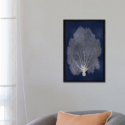 Sea Fan II by Melonie Miller - Print on Canvas
