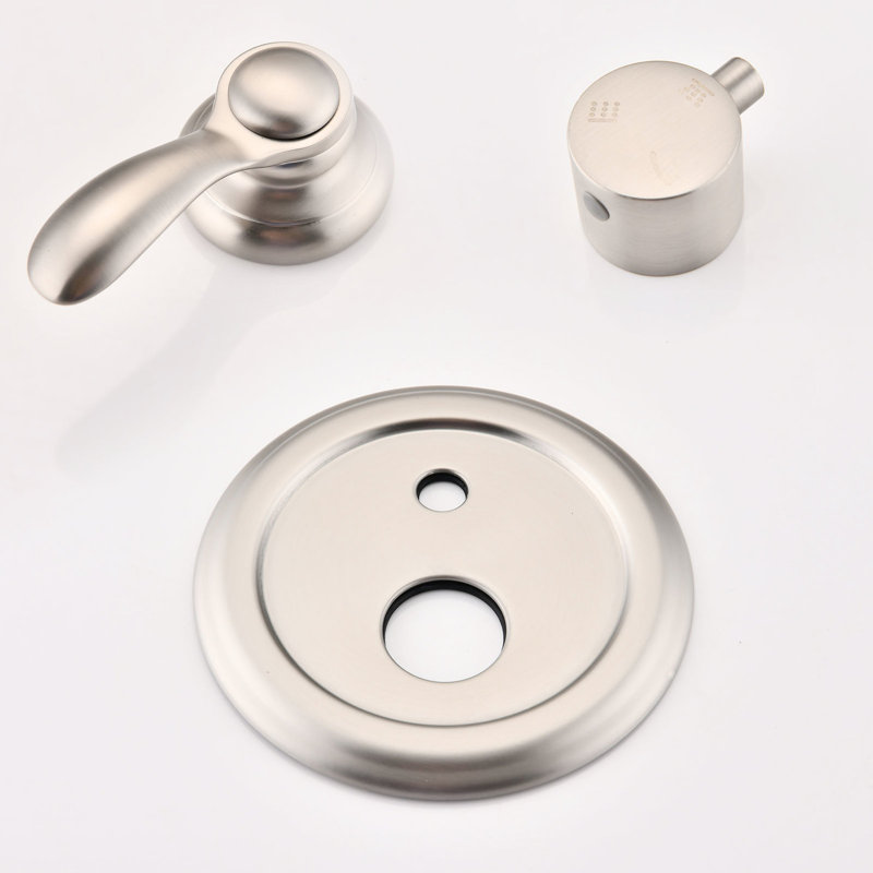 Pomme de douche réglable et nickel brossé à la main avec robinet de salle de bain puissant