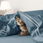 Ensemble de housse de couette -1584324002-1584324011