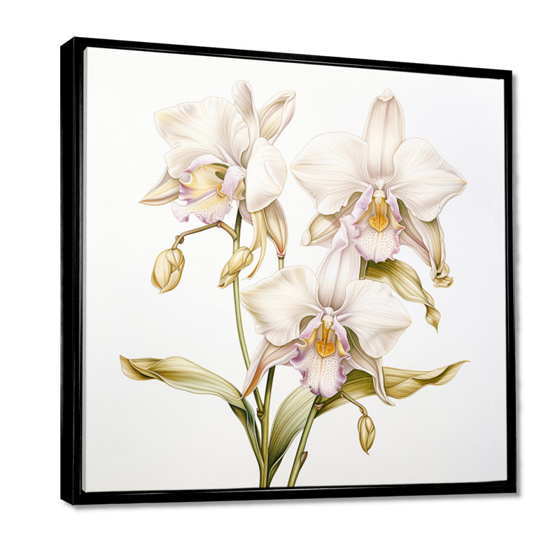 Illustration rétro d'une orchidée blanche - art mural orchidée, Cadre flottant noir, bois massif, H 16 po x l 16 po