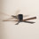 Irene Ceiling Fan with LED Light Kit