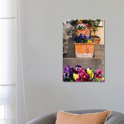 Positano Blooms IX by Bethany Young - Print on Canvas