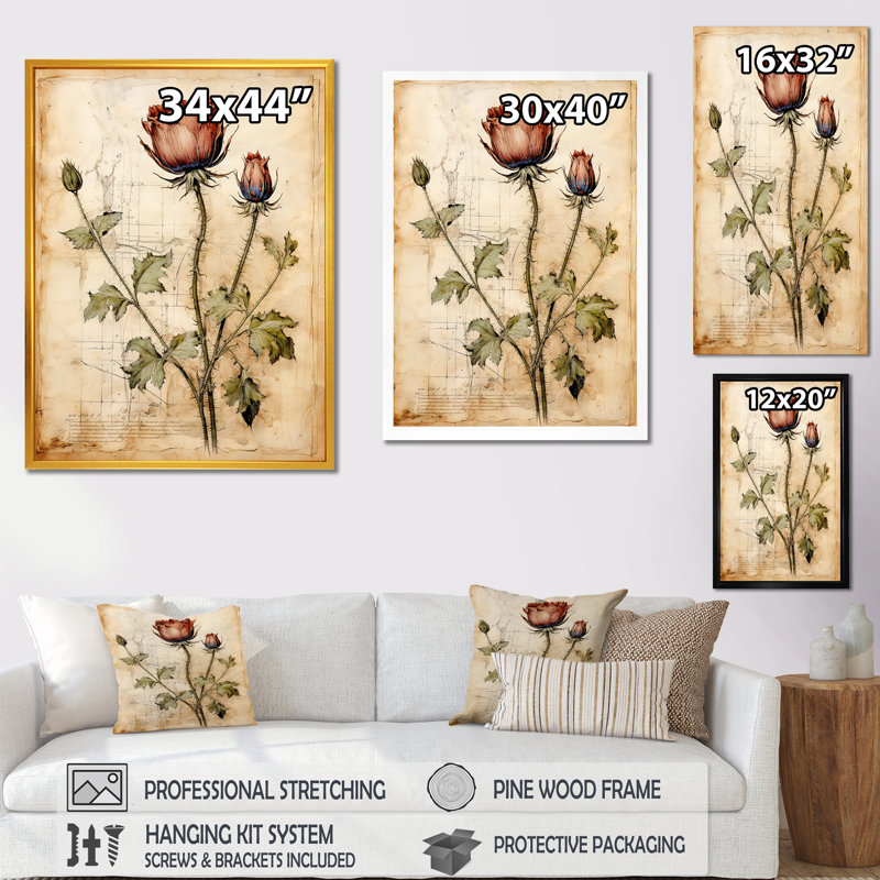Art floral rétro chardon rétro 1 - chardon, Cadre flottant brun, 40" H x 30" W