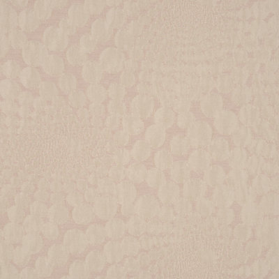 Allure Fabric