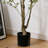 5ft Artificial Olive Tree Indoor Faux Plant for Living Room Bedroom Home Decor