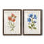 «Botanical I», ensemble de 2 reproductions d'art-271774487-271774477-271774468