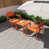 Apricot Brown selected