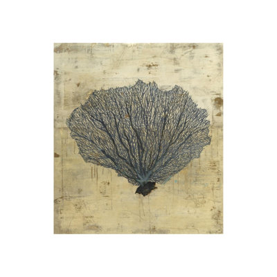 Sea Fan Print by Sarah Atkinson