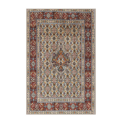 Oriental Indoor Rug