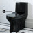Ivy One-Piece Elongated Toilet Vortex Dual-Flush 1.1/1.6 gpf-99987771-99988544-54187596