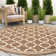 Lavalle Indoor / Outdoor Rug