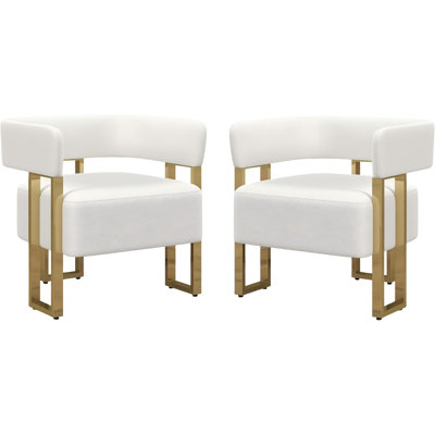 Accent Armchair With Metal Frame(Set Of 2)