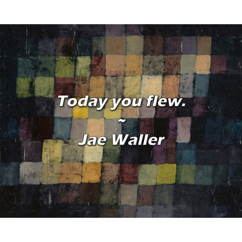 Jae Waller Quote: Today you flew.