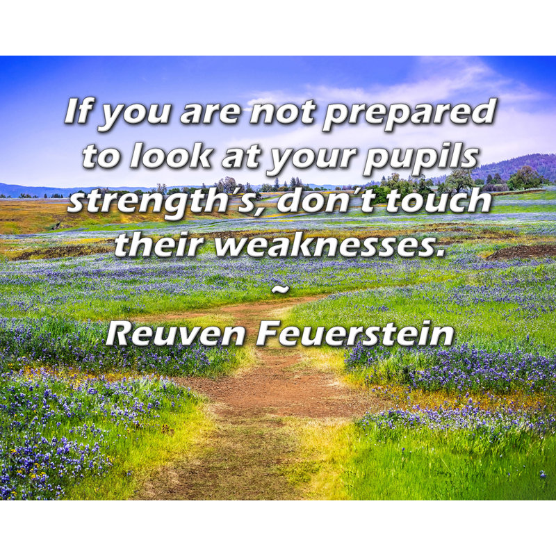 ArtsyQuotes Gallery Wrapped Canvas By Reuven Feuerstein: "If you are not prepared to look at your pupils strength’s, don’t touch their weaknesses."