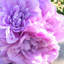 Arrangement floral dahlia de bouquet artificiel-1914350807