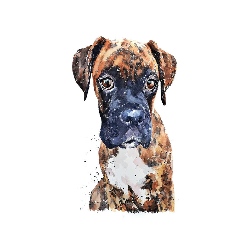 Brindle Boxer Pup - Wrapped Canvas Painting