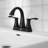 Centerset 2-Handle Bathroom Faucet with Drain Assembly-63970555