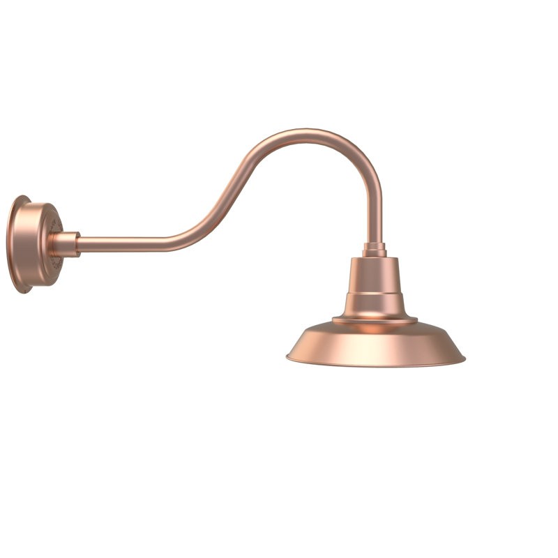 Luminaire de grange d'extérieur à 1 ampoule DEL Haleigh, Vert Tage, H 16,78 po x l 12 po x P 29,75 po