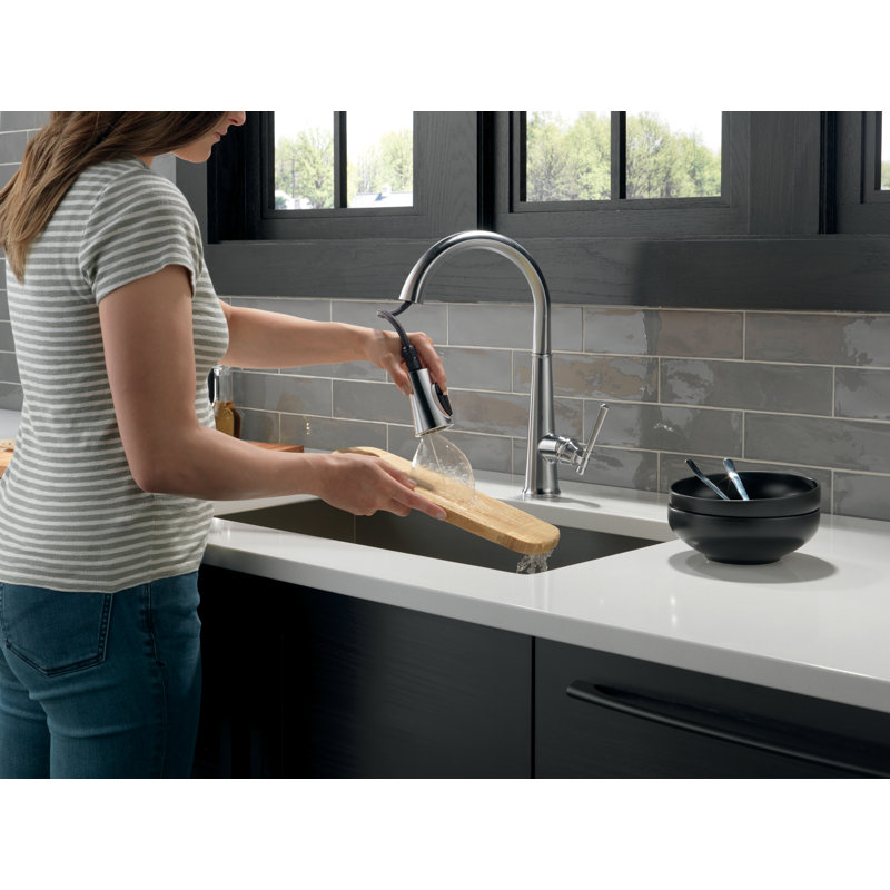 Robinet de cuisine à poignée simple Emmeline, Acier inoxydable arctique Lumicoat