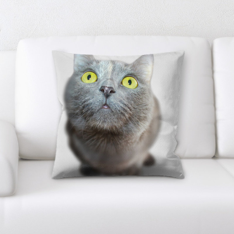 Coussin pour chat