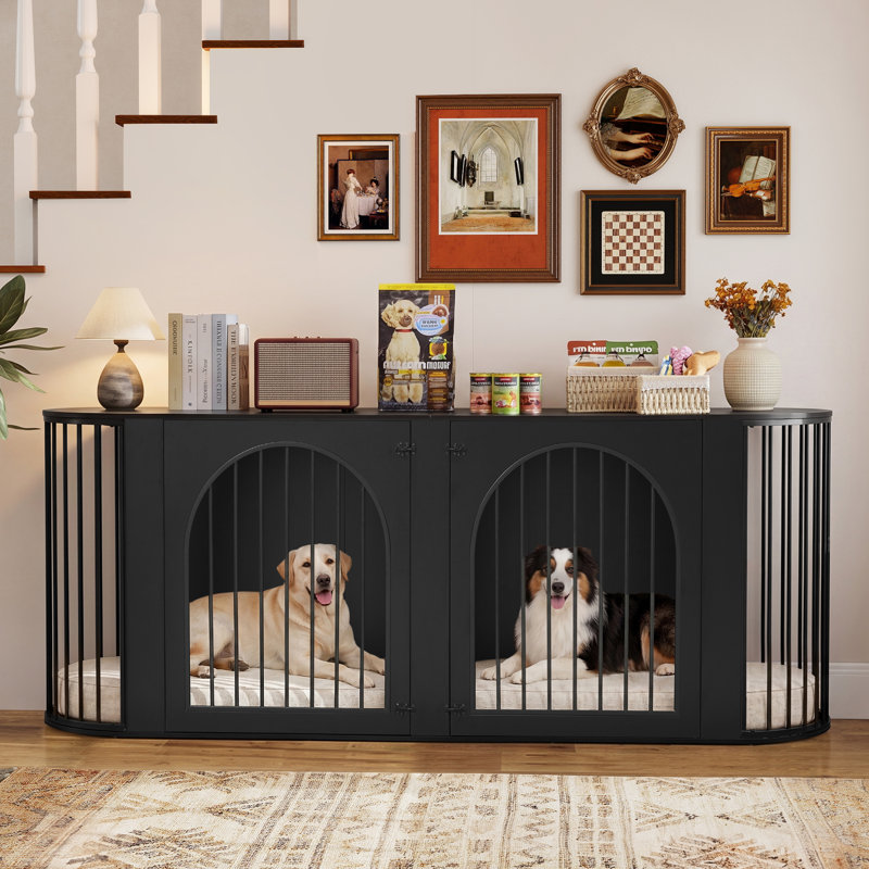 Morden Style Metal Double Dog Crate