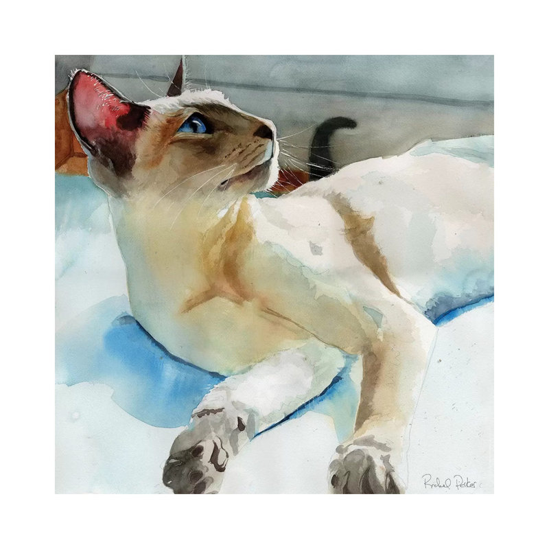 Siamese In Peacock Shadows by Rachel Parker - Wrapped Canvas Gallery-Wrapped Canvas Giclée, 30.48 cm H x 30.48 cm W