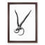 Sheep Skull Illustration in Black and White - Picture Frame Drawing Print-55619213-55619214