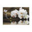 No Frame Print on Canvas-920856354