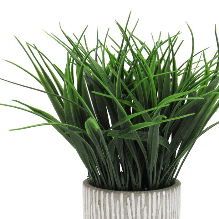 Gracie Oaks 10'' Faux Grass in Ceramic Pot & Reviews | Wayfair