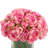 Peony Arrangement in Glass Vase with Grass-244290954
