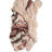Wooded River Premier Alamosa - Throw - 60x72