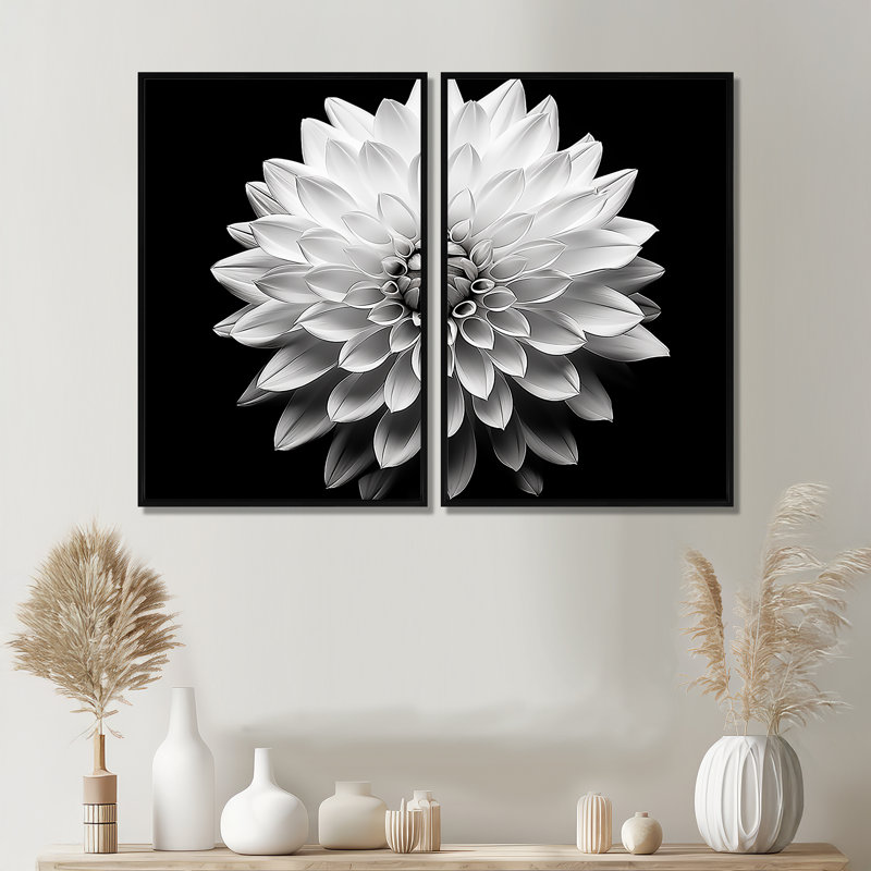 Dahlia en monochrome noir et blanc - grande décoration murale Dahlia, Black, 36" H x 48" W, Impression encadrée flottante