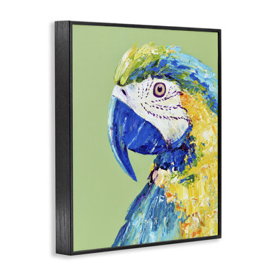 Perroquet ara sur giclée verte encadrée, design par Jennifer Seeley