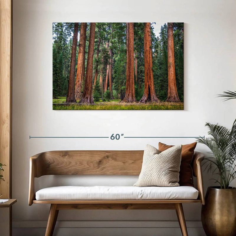 Harnek superbe Sierra Redwoods, H 30 po x l 45 po