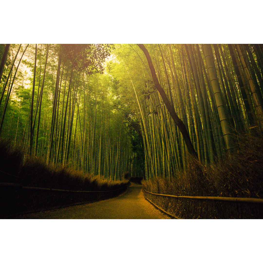 Bamboo Forest von Filadendron - Druck auf Leinwand ohne Rahmen