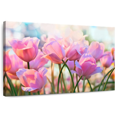 Harnek Lovely Pink Tulips