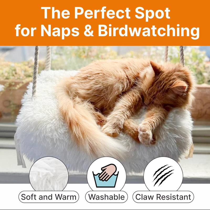 Hamac pour chat avec ventouses de qualité industrielle