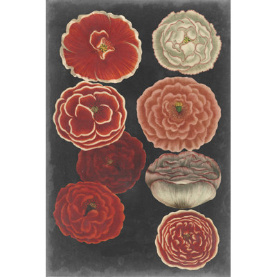Midnight Poppies by Vision Studio - Painting