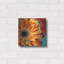 «Color Bursts II» par Carolee Vitaletti-452797997