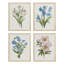 «Daisy Magnolia Floral», ensemble de 4 impressions murales bleues et roses vives encadrées sur papier, impression de 4 pièces-93011830-93011832